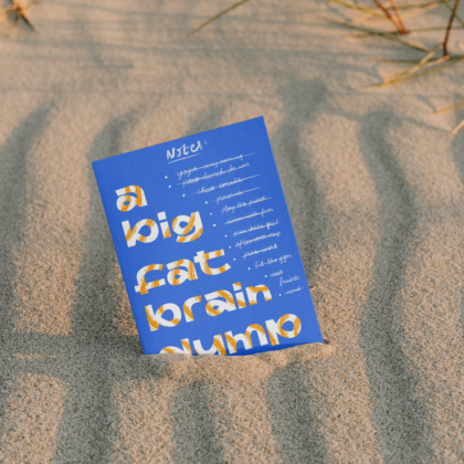 A big fat brain dump